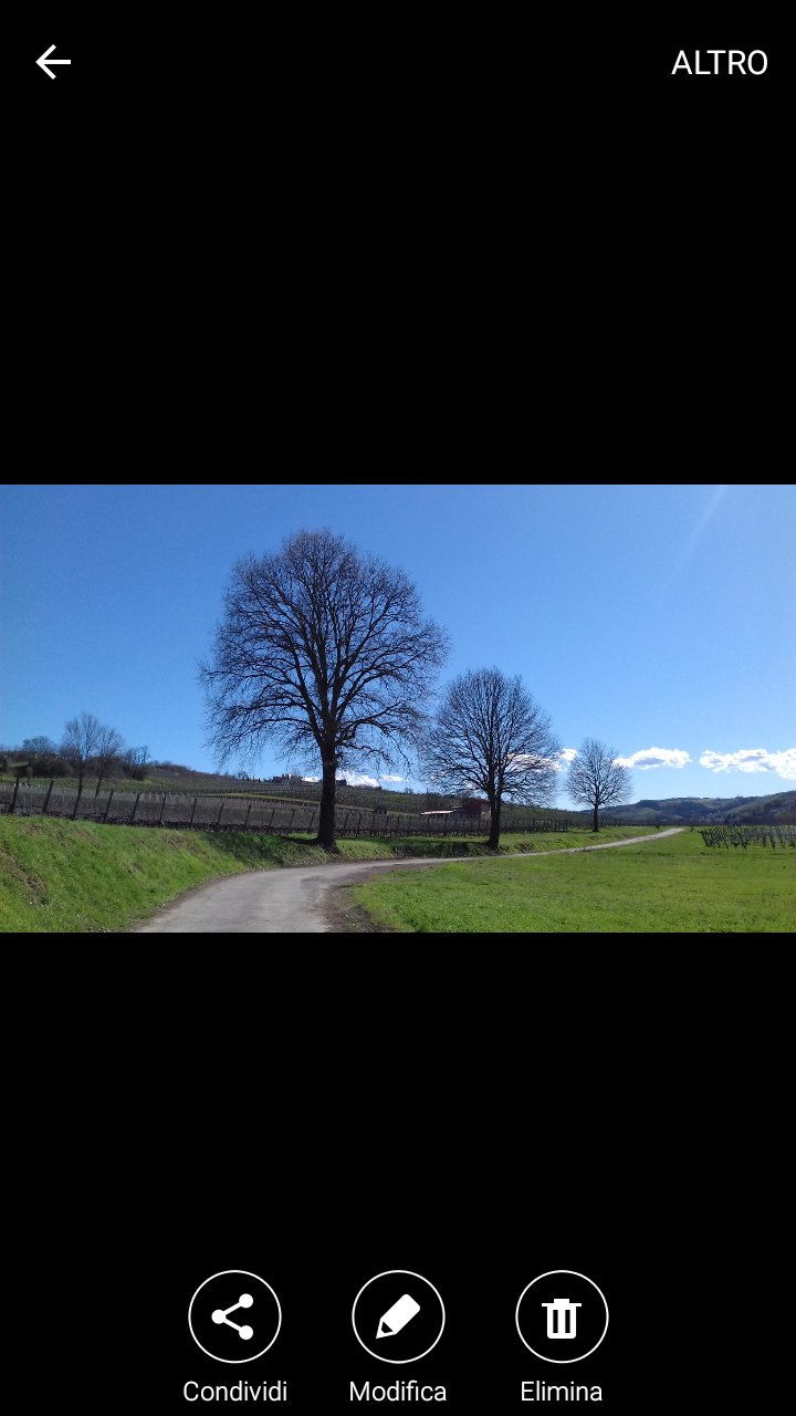 robertaricotti's profile banner image