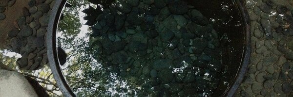 snomi Profile Banner