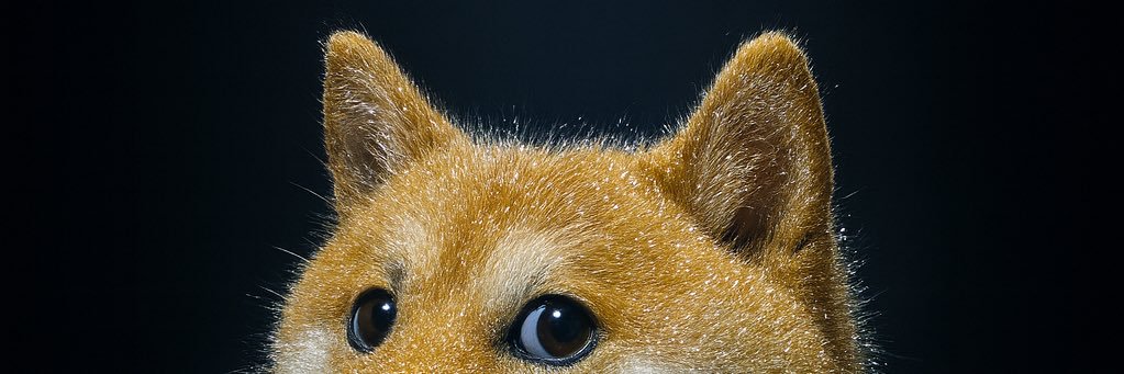 The Solana Savior banner