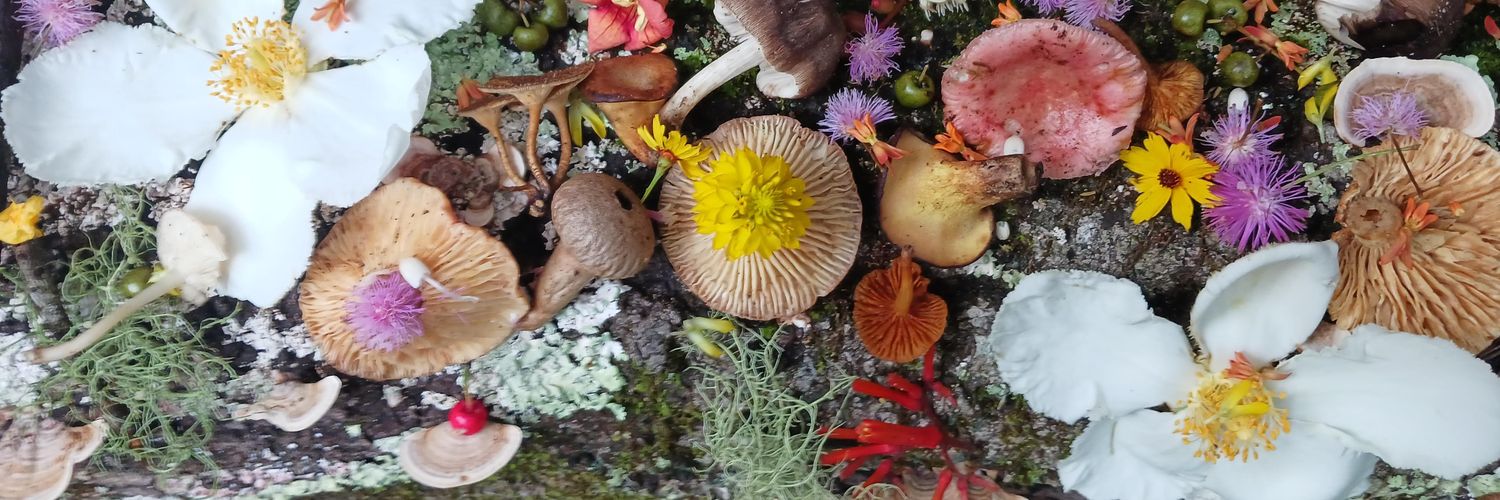 🍄Scott.Shroom🍄 banner