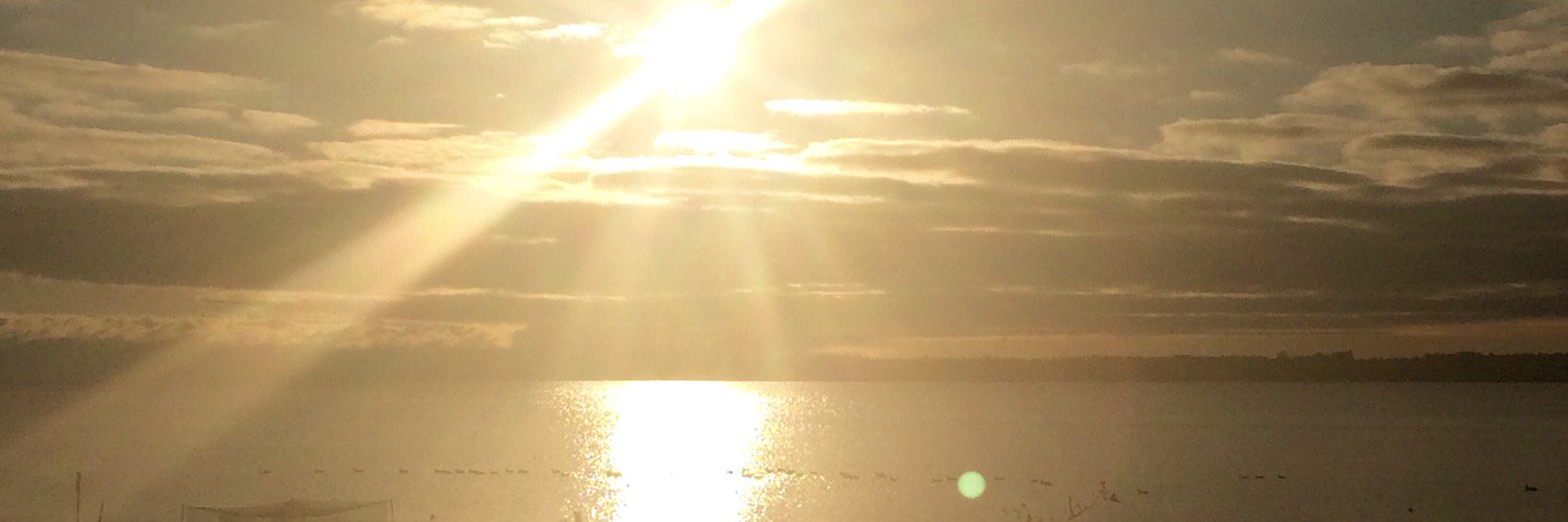 MelLeger24's profile banner image