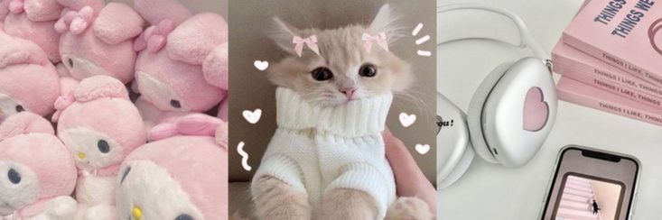 wonplushie's profile banner image