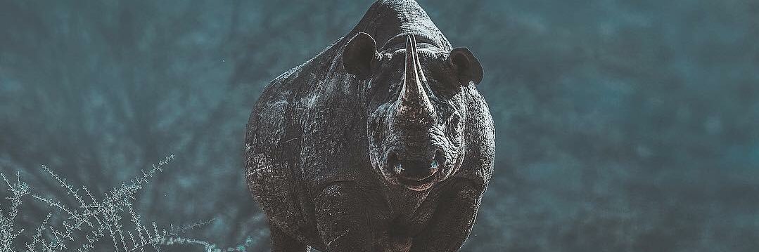 JasonPajares's profile banner image