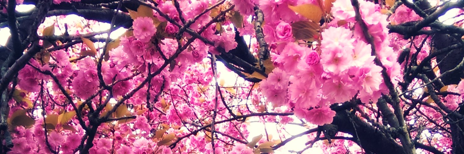 XARiFARi's profile banner image