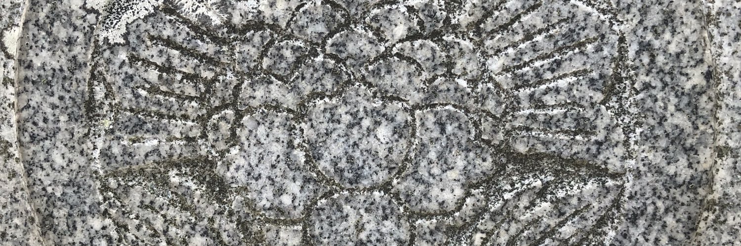 zap10021's profile banner image