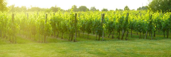 kat_hall Profile Banner