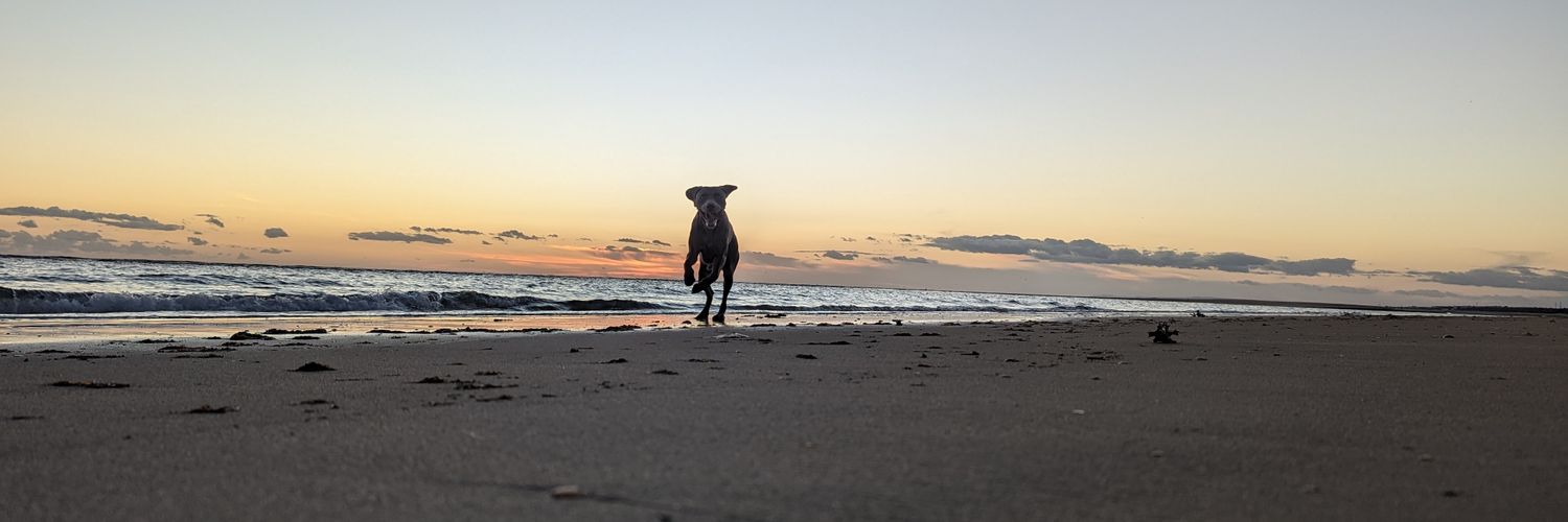 jredbay's profile banner image