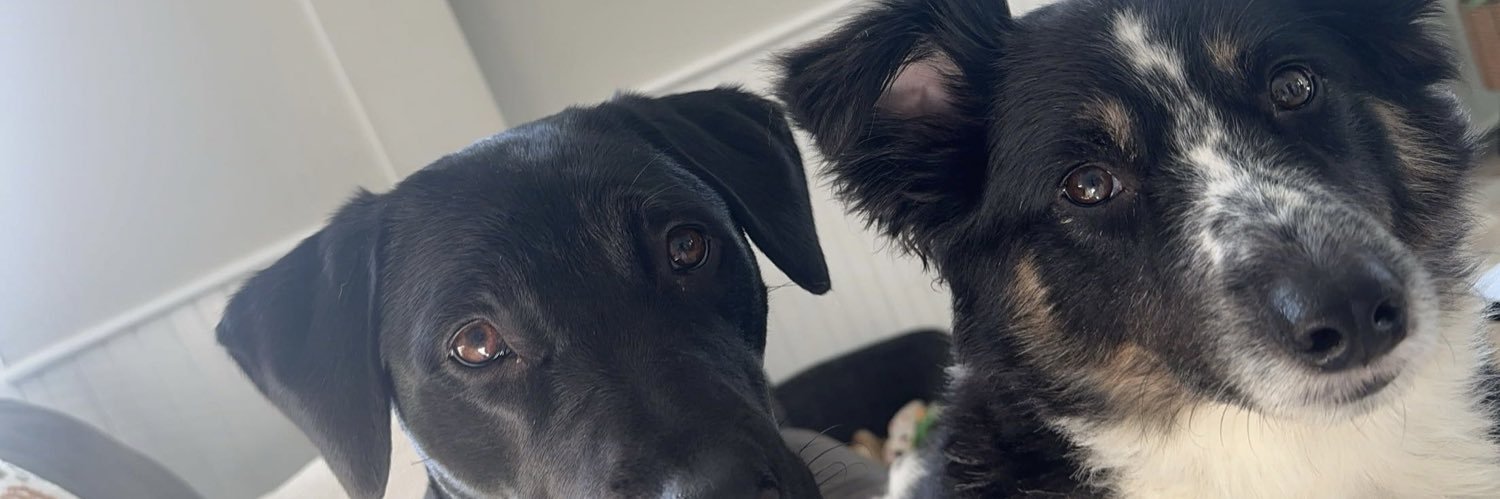 KenzieNeiderer's profile banner image