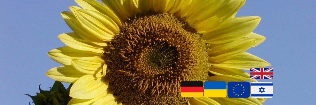 Roktoberman's profile banner image