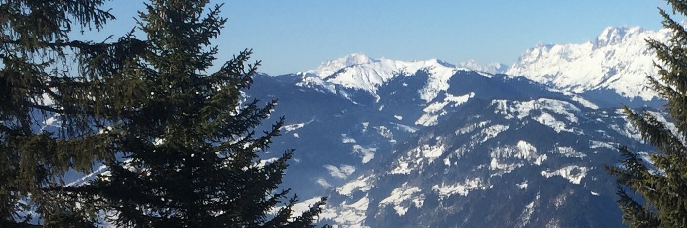 pedroans's profile banner image
