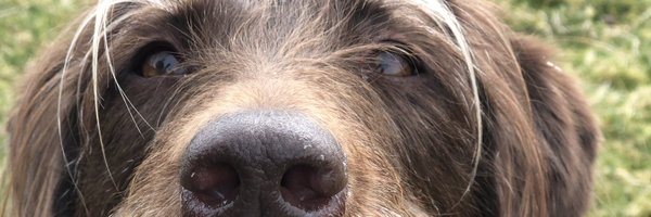 marcbowker Profile Banner