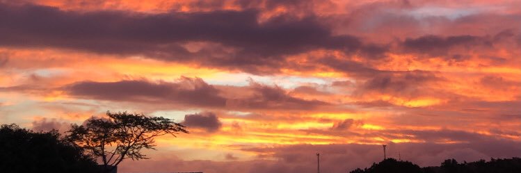 brnpr_'s profile banner image