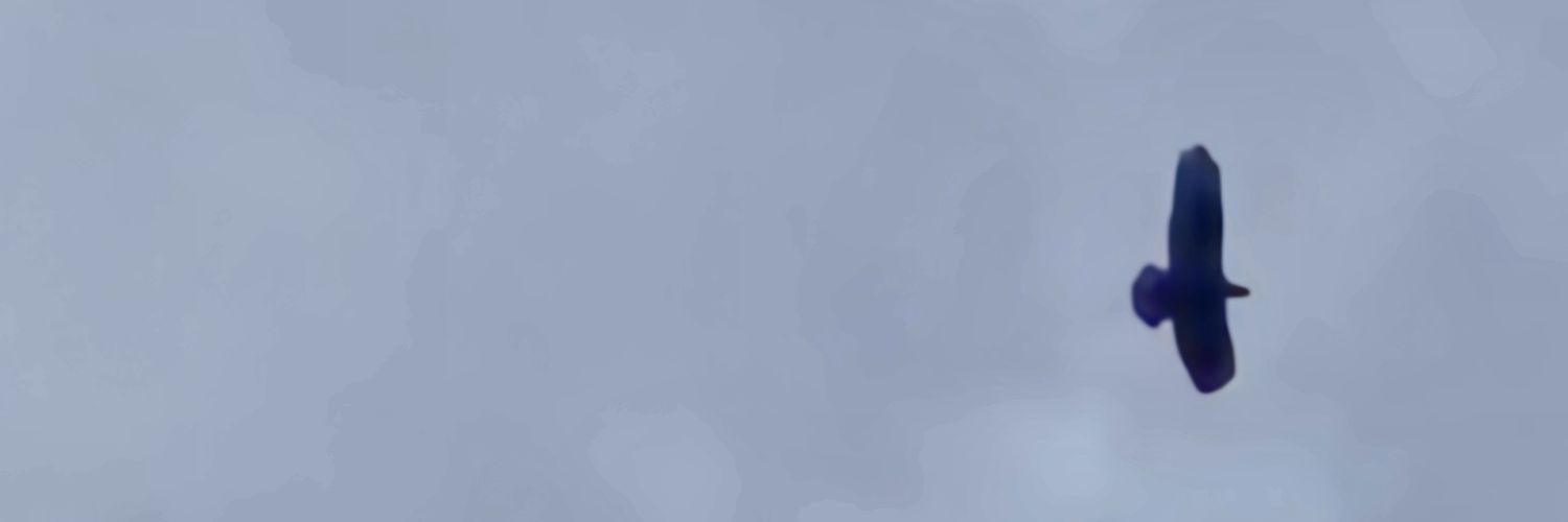 terr356's profile banner image