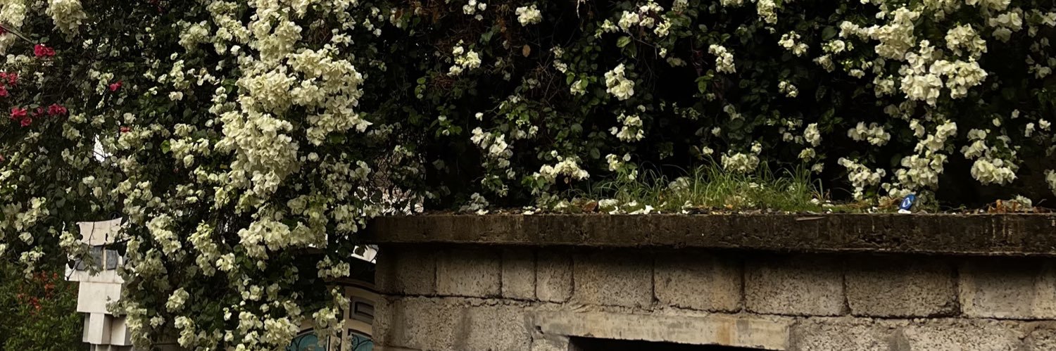 kriil10's profile banner image
