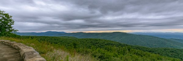 kathy_moore Profile Banner