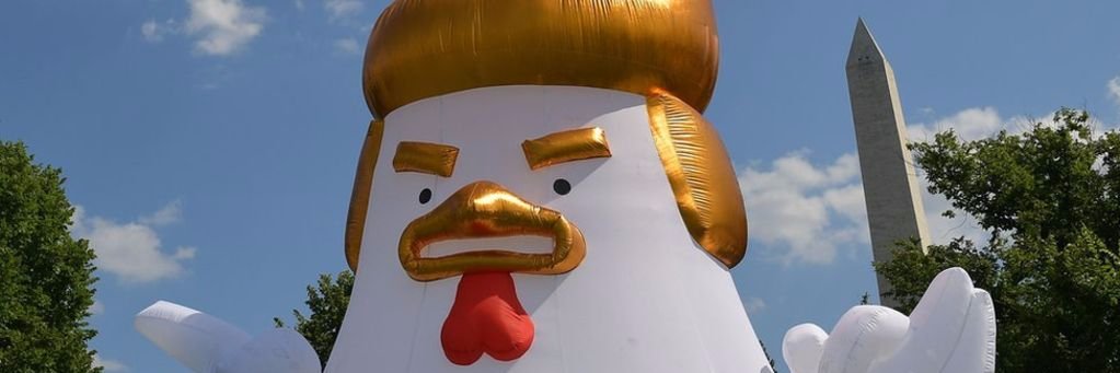 MKofsky's profile banner image