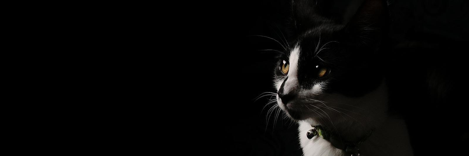 wtwphotography's profile banner image