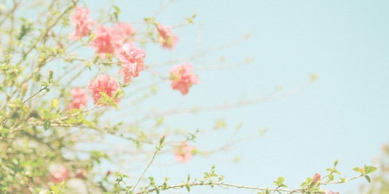 chorongtics's profile banner image