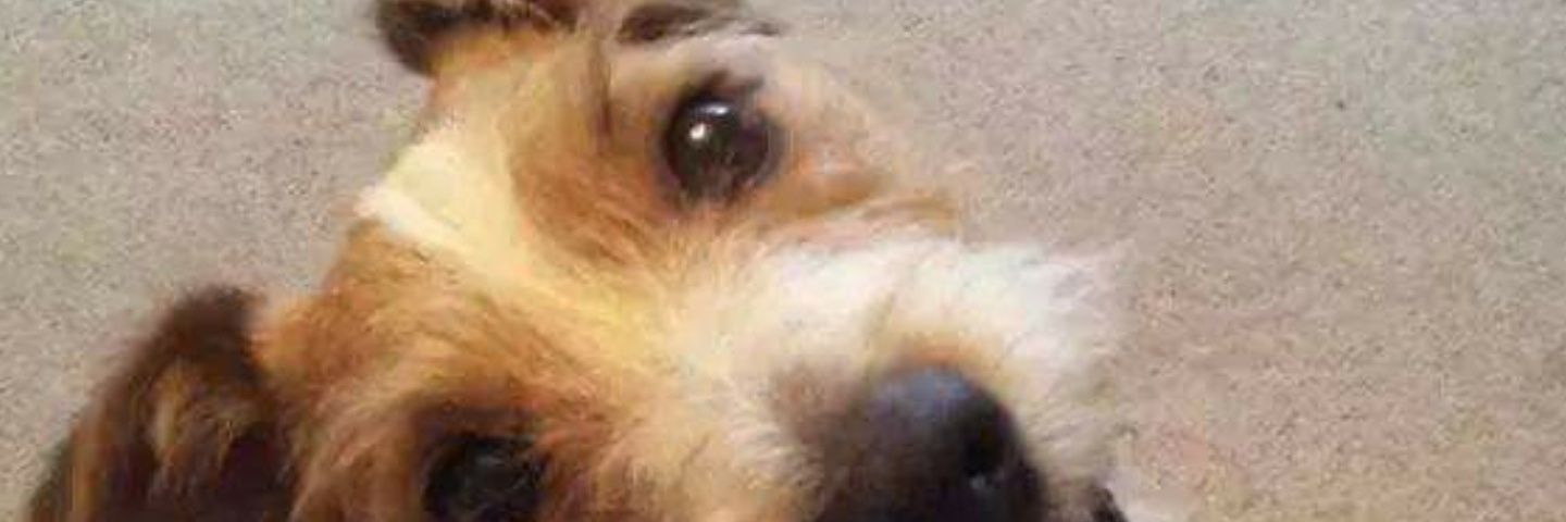 kathc4's profile banner image