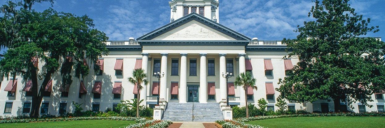 VictoriaVangalisZepp banner