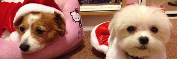 HKaddy Profile Banner
