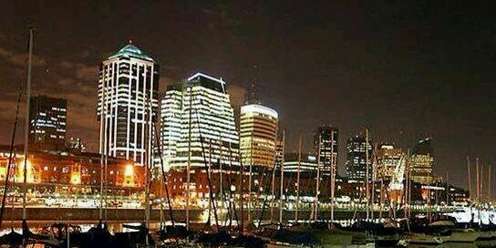 Dr ANDRÉS RABINOVICH banner