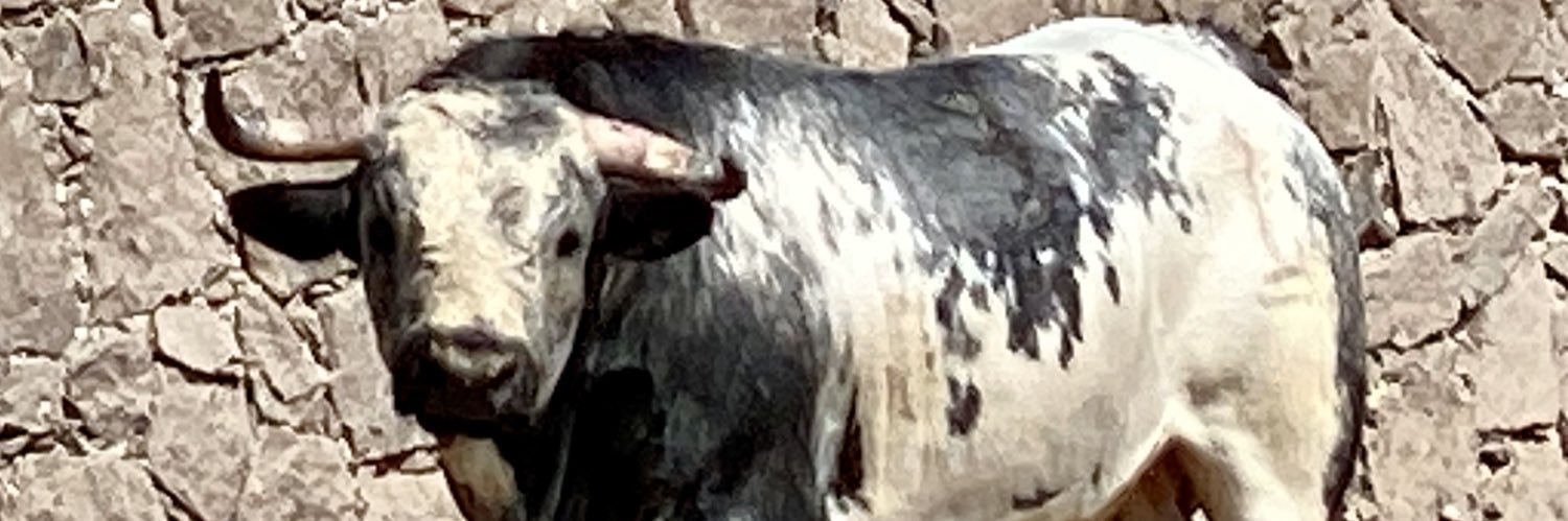 Lebrijart's profile banner image