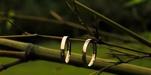 jahcy's profile banner image