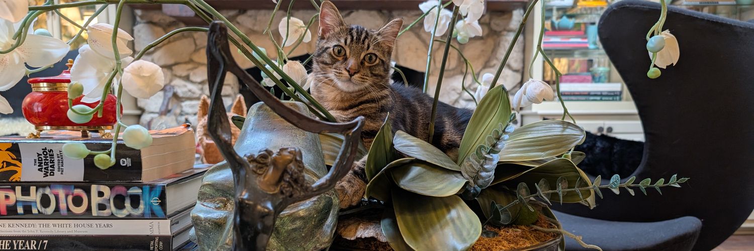 Vaneck Intern banner