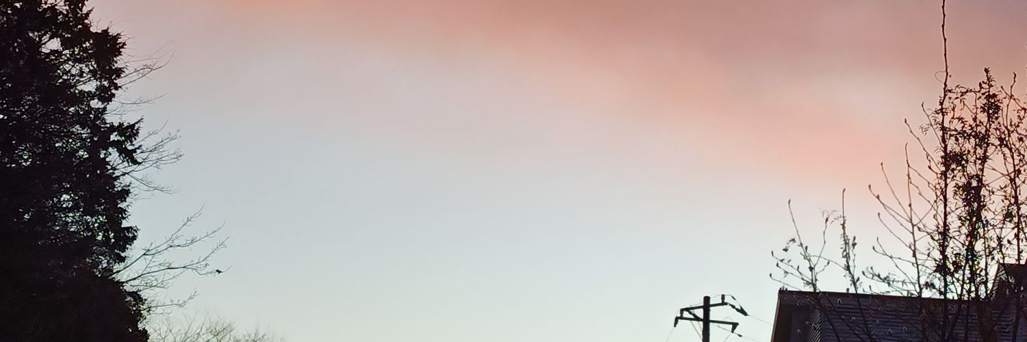 恋桃(れもん) banner