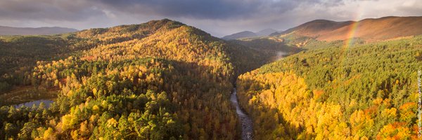 wwf_uk Profile Banner