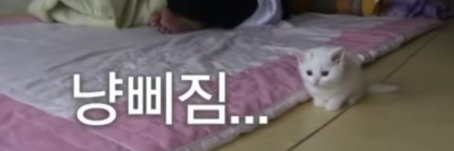 듀끼 banner