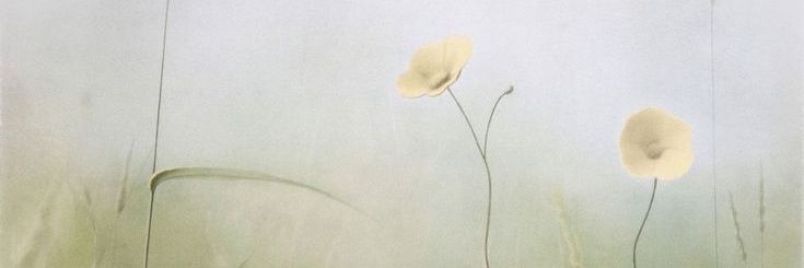hcwned's profile banner image