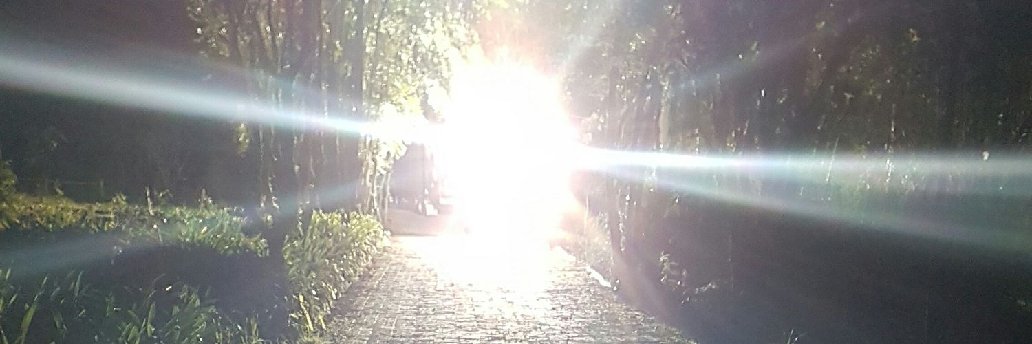 Sebastian Martinez banner