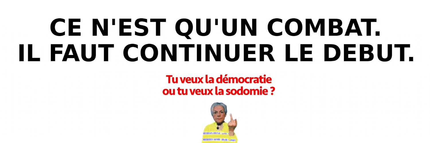 TU VEUX LA DÉMOCRATIE OU TU VEUX LA SODOMIE ? banner