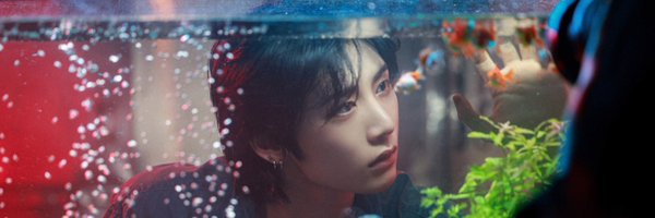 fishinamountain Profile Banner