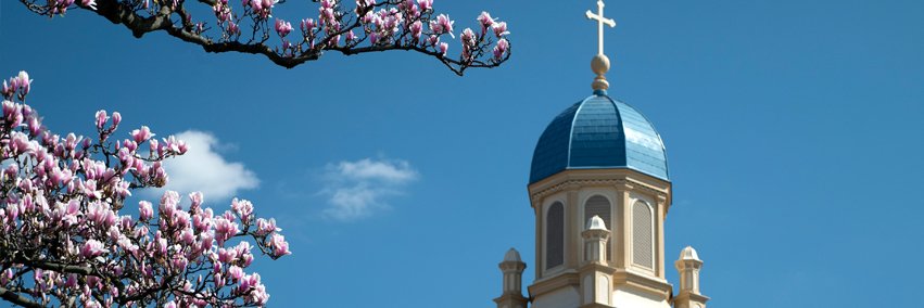 RealAlexSlemc's profile banner image