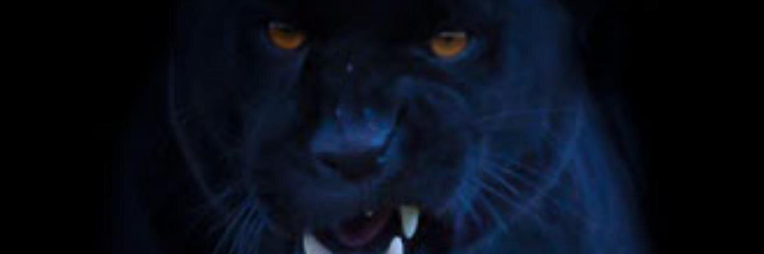 rulote72's profile banner image