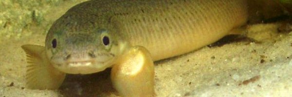 Solbady Profile Banner