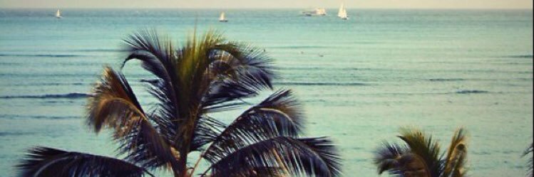3zoz1018's profile banner image