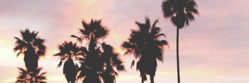 theryanharber's profile banner image
