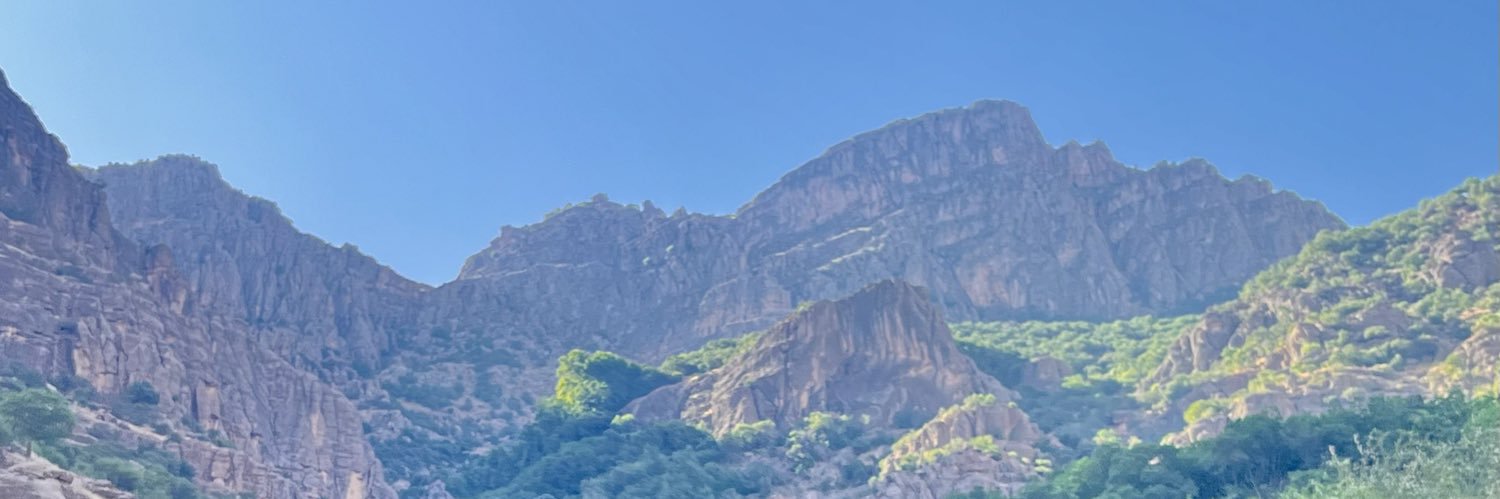 mesialmess's profile banner image