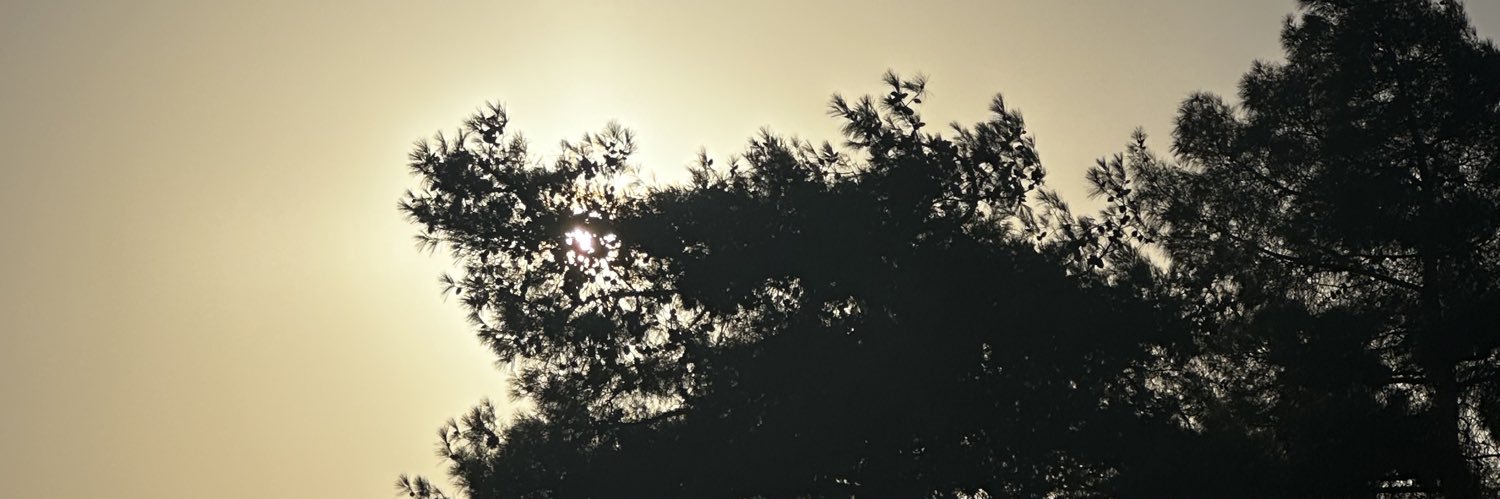 ginger banner