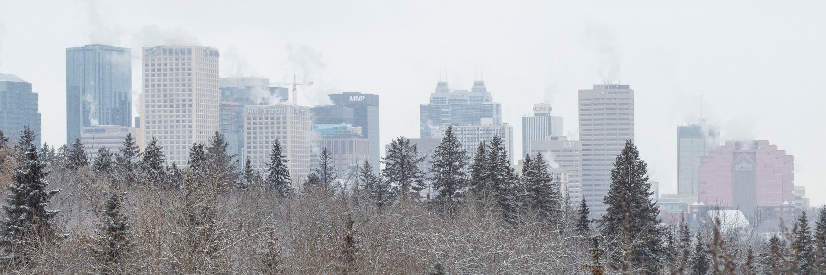 Edmonton Examiner banner