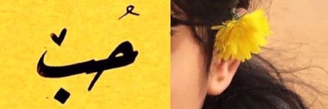 ع🎶 banner