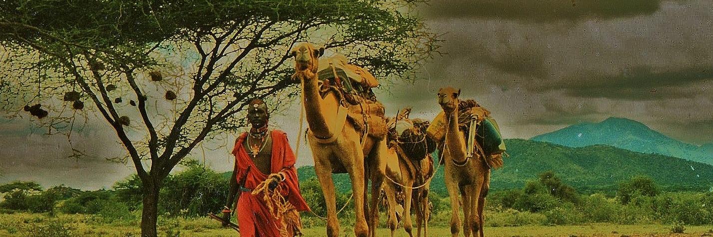 Twitter banner for @Camels