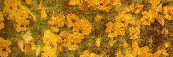 NoodleeCase Profile Banner