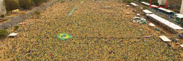 Lia Brasolini banner