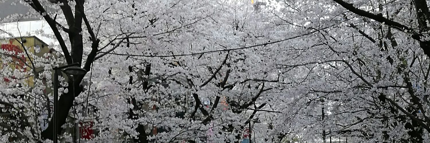 nattawan_st's profile banner image