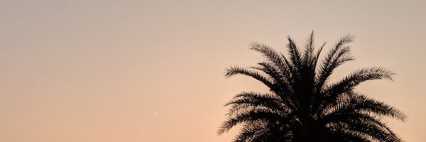sannykimchi Profile Banner